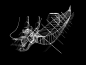 A Dragon Boat Skeleton!