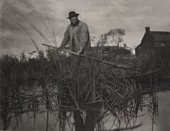 龙二采集到P.H.埃默生 Peter Henry Emerson