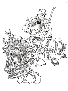 带刀山羊采集到老中医