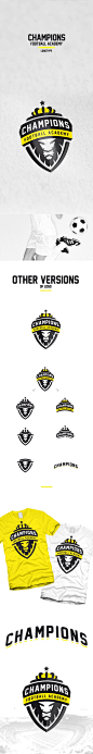 足球学院logo设计/品牌设计/狮子标志/盾牌logo素材