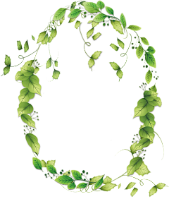丶小神采集到植物素材
