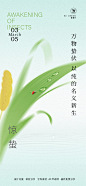 二十四节气全集立春春分清明立夏立秋白露秋分大雪psd素材