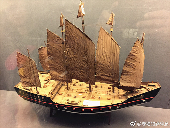老猪的碎碎念的照片 - 微相册