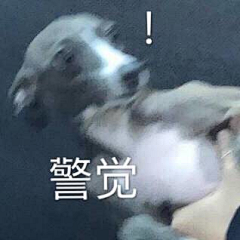 帕拉迪岛第一名摸采集到收集