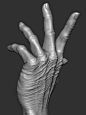 Hand Study : Sculpt