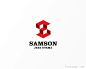 标志说明：SAMSON立体logo设计欣赏