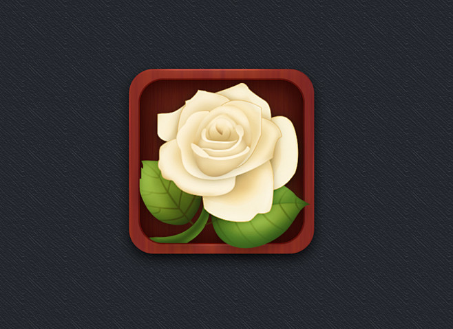 好美的一朵白玫瑰icon