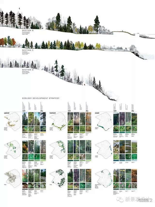 森林生态修复景观设计分析图