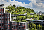 新加坡如何在打造绿色城市环境中引领先锋 - 5 的图像 9