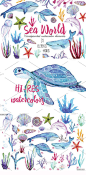17-A229手绘水彩海底世界海龟海星蓝鲸卡片装饰手账印刷类小素材-淘宝网