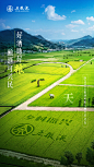 @五粮液 的个人主页 - 微博