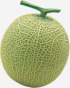 哈密瓜素材