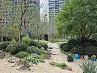 景观——植物配置