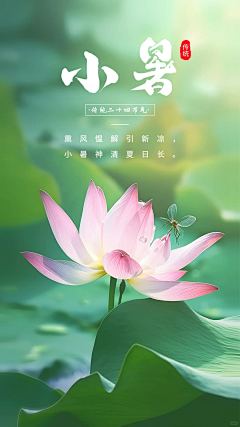 三只老虎o采集到节气