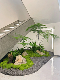 3219632229采集到绿植造景
