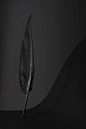 Feather by Anil Akkus on 500px