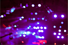 深以为然929采集到concert