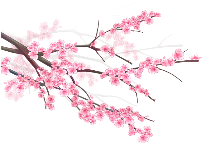花枝