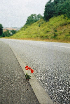 censor-ljUdVvuR采集到Photography / 摄影