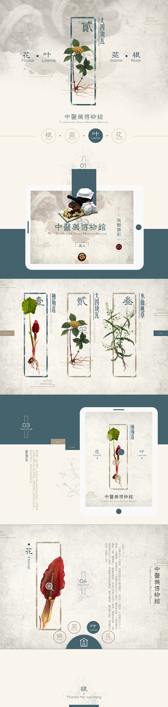 中草药展示页面设计_秀作品_辛旺主页_我...