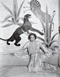 图片中可能包含 Human Person Art Drawing Animal Bird Painting 和 Marlene Dietrich