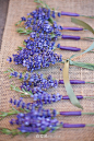 #婚礼灵感##婚品DIY##饰品#[imior.com]婚礼灵感 婚礼上那些飘着香气的薰衣草，紫色的好美！ 更多:http://www.imior.com/goods/show?gid=5051