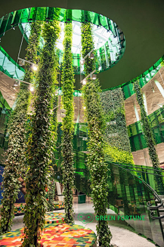 vvyung采集到vertical green