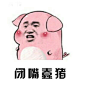 好了，你不要再说了  你闭嘴！（仅供娱乐，图自网络，版权属于原作者 ​​​​） ​​​​