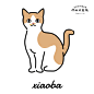 xiaoba (3)