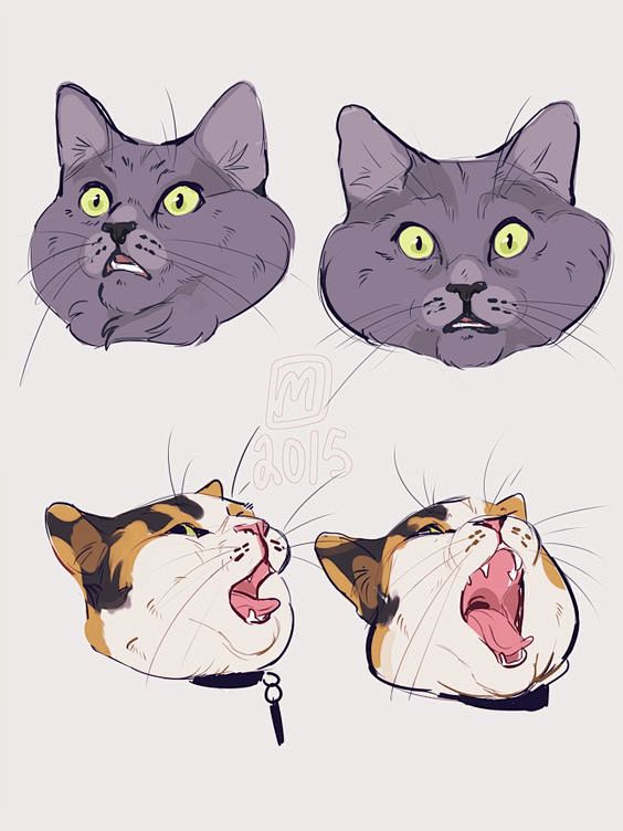 I wanted to doodle, ...