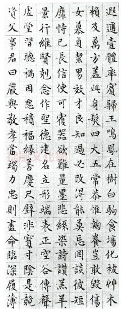 岚月之风采集到书画