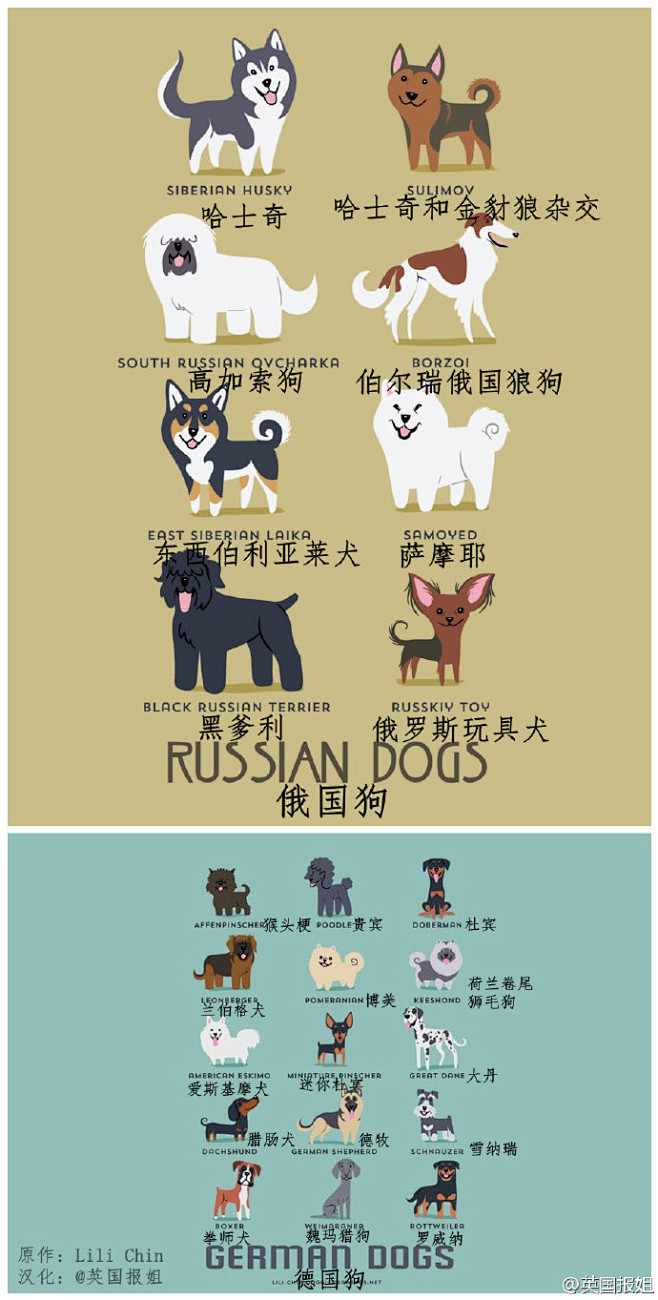 世界上的狗按国家分类，看看你喜欢的狗来自...