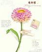 《香草绘》—你对香草的印象是怎样的呢？香草，既有花朵的柔美鲜艳，又有植物的清新可爱。一起来感恩来自大自然的温柔馈赠。
