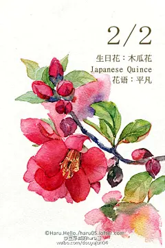 豆芽君的haru酱的微博_微博
