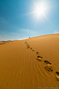 Desert Sun by raimundhaider on 500px