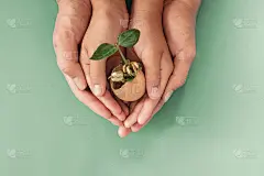 蛋壳中手执幼苗、蒙台梭利教育、CSR企业社会责任、生态绿色可持续生活理念、零浪费、无塑料、世界粮食日