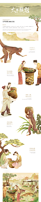 国潮风茶叶包装插画——太平猴魁-古田路9号-品牌创意/版权保护平台