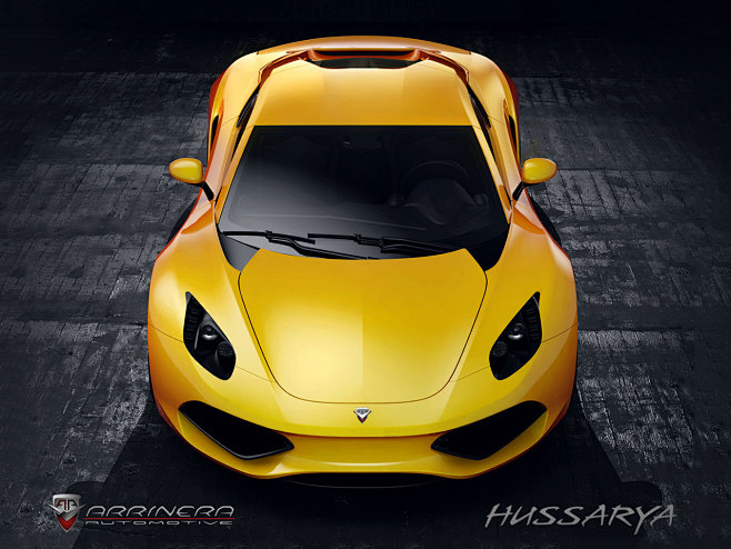 Arrinera Hussarya