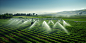 refreshment-from-as-sprinklers-arc-water-geometric-greenery-fields