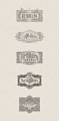 Branding 2013-2014 on Behance: 