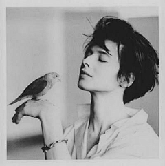 jazzjuliet采集到人物