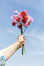 a hand holding a bunch of pink and red flowers