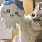吉伊卡哇CHiicawa (35)