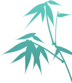 竹子剪影