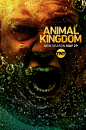 Animal Kingdom