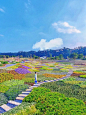 #花海赏析|百花园