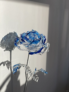 早晚知道采集到美学