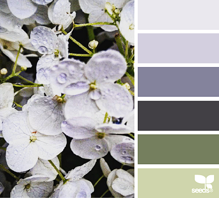 flora hues