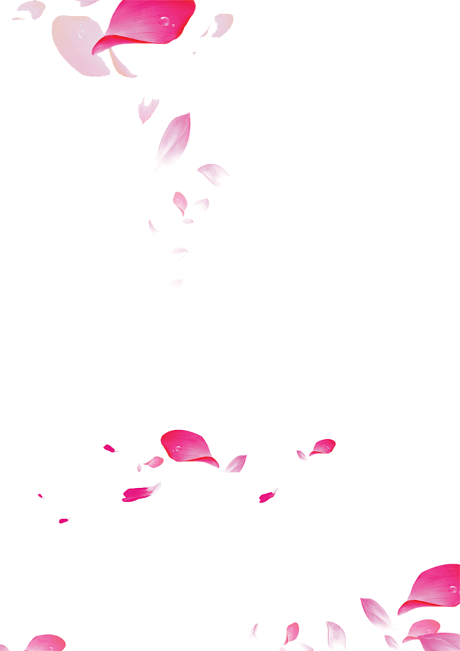 花瓣 PNG