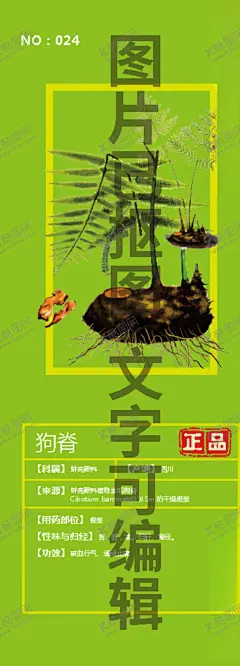 狗脊 【酷图网】金毛狮子,金毛狗脊,金毛狗,金狗脊,狗脊骨,狗青,黄狗脊,黄狗头,苟青,苟脊,猴毛头,扶盖,手绘,插画,线描,白描,国画,素描,包装设计元素,设计元素,插图,插画手稿,中药名插画,中药手绘,野生,高山,药丸,文化艺术,绘画书法,平面